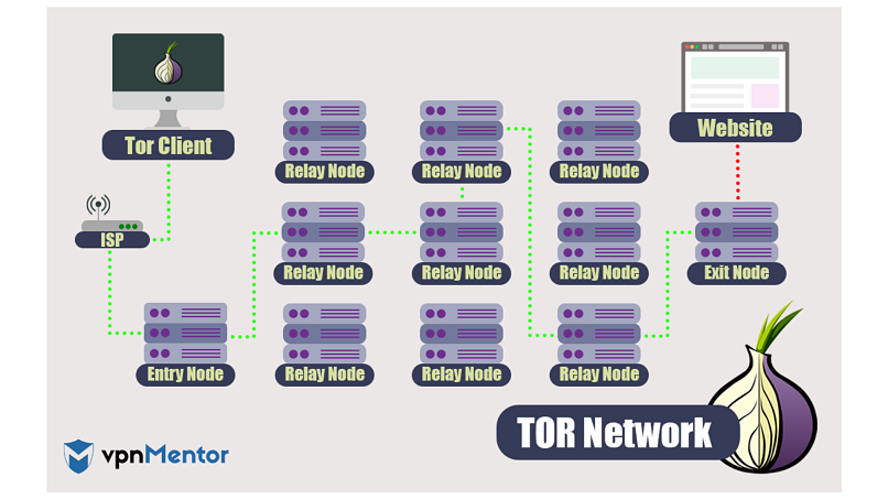 Infographic showing how a user's traffic travels through Tor's nodes