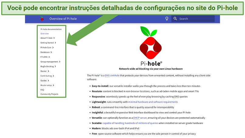 Screenshot showing the setup guide on the Pi-hole websiteScreenshot showing the setup guide on the Pi-hole website