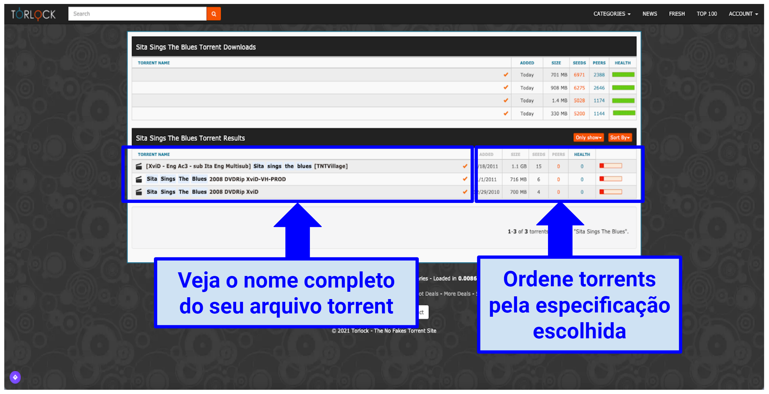 12 melhores sites de torrent em 2024: seguros e funcionand