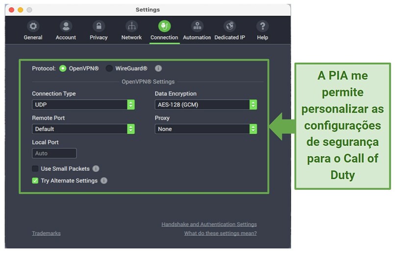 Graphic showing PIA security settings