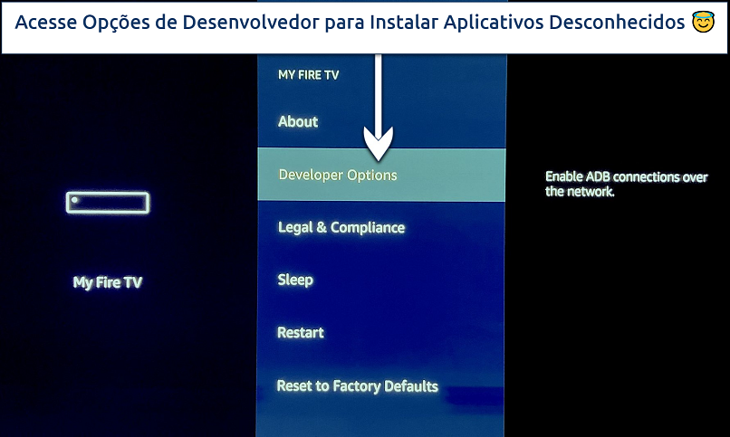 Screenshot showing how to go into Developer Options on Fire Stick Settings