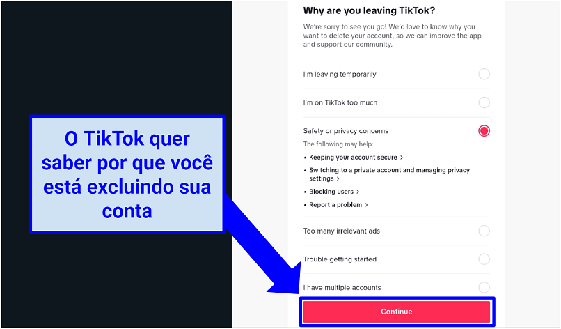 Screenshot of TikTok questionnaire before deletion