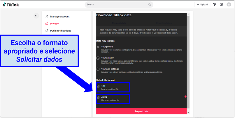 Screenshot of TikTok request for data page