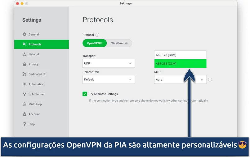 Screenshot showing the customization options on PIA's Settings menu
