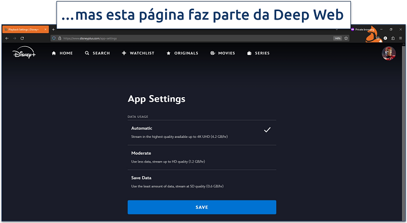 A screenshot of the Disney Plus app settings page