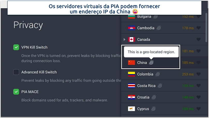 Screenshot of PIA's privacy settings and virtual servers in the app