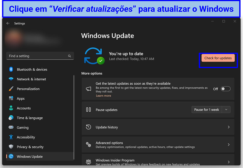 Captura de tela das atualizações do Windows