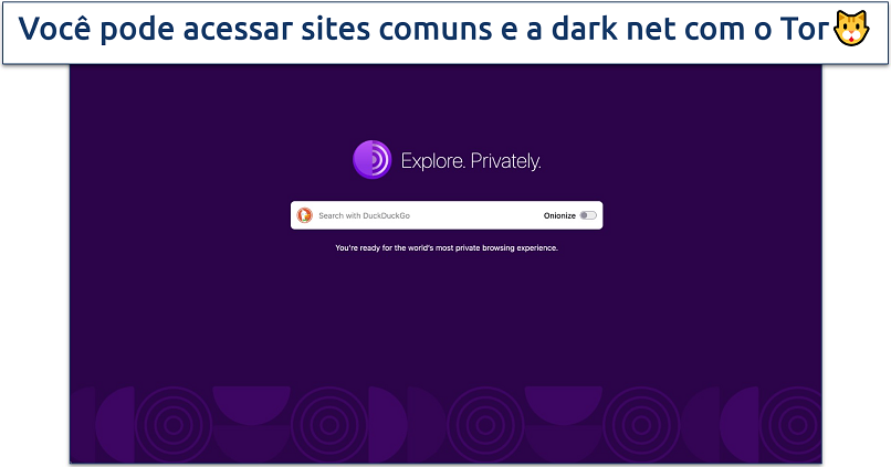 Screenshot of the Tor Browser homepage